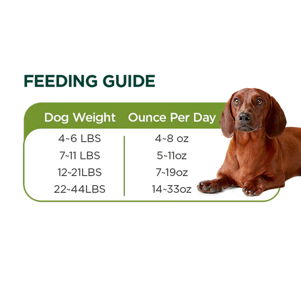 Zeal Grain Free Canned Dog Food 390g – (Beef Recipe)