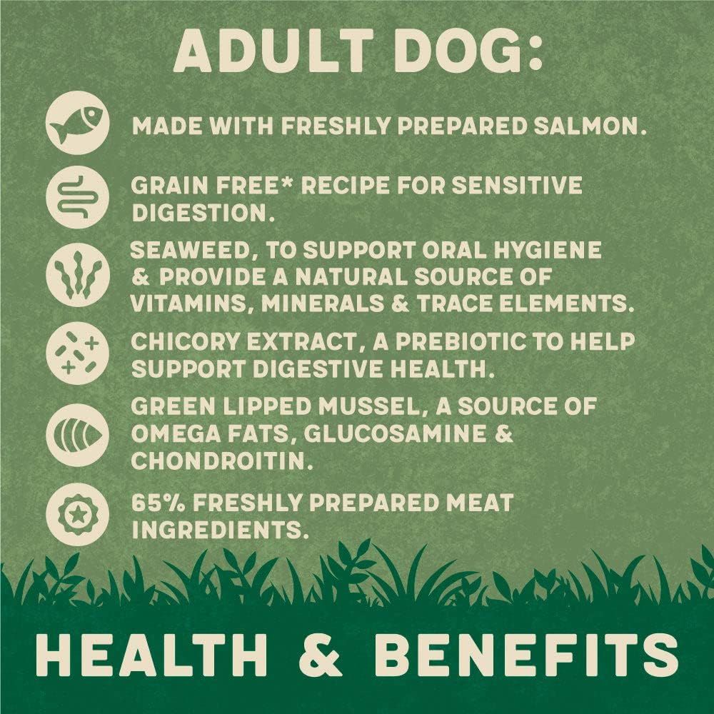 Harringtons Salmon Grain Free Adult Wet Dog Food 400g