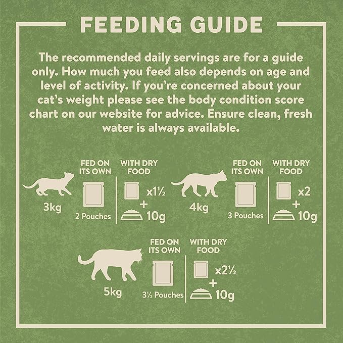 Harringtons Meat in Jelly Wet Cat Food Multipack