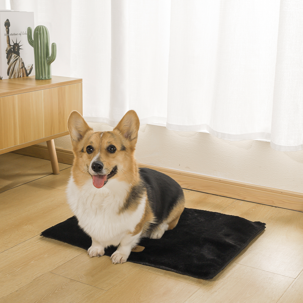 M-PETS Warmo Self Heating Mat (S: 35x45cm, M: 45x60cm, L: 60x75cm, XL: 70x110cm)