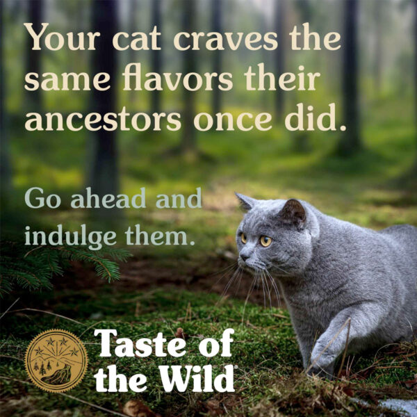 Taste of the Wild Rocky Mountain Feline Recipe 85gr