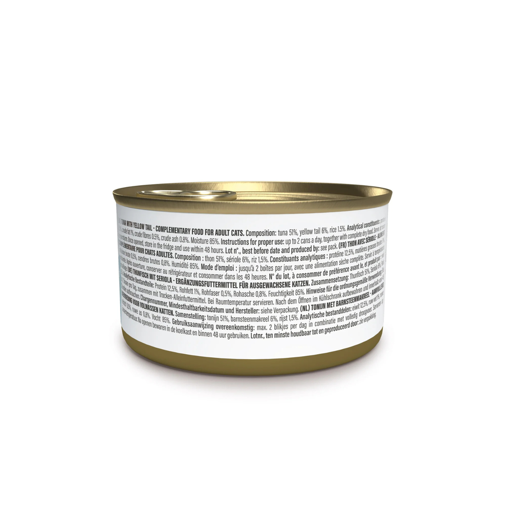 Schesir Complements Cat Wet Food in Jelly Can- Tuna With Yellow Tail 70g