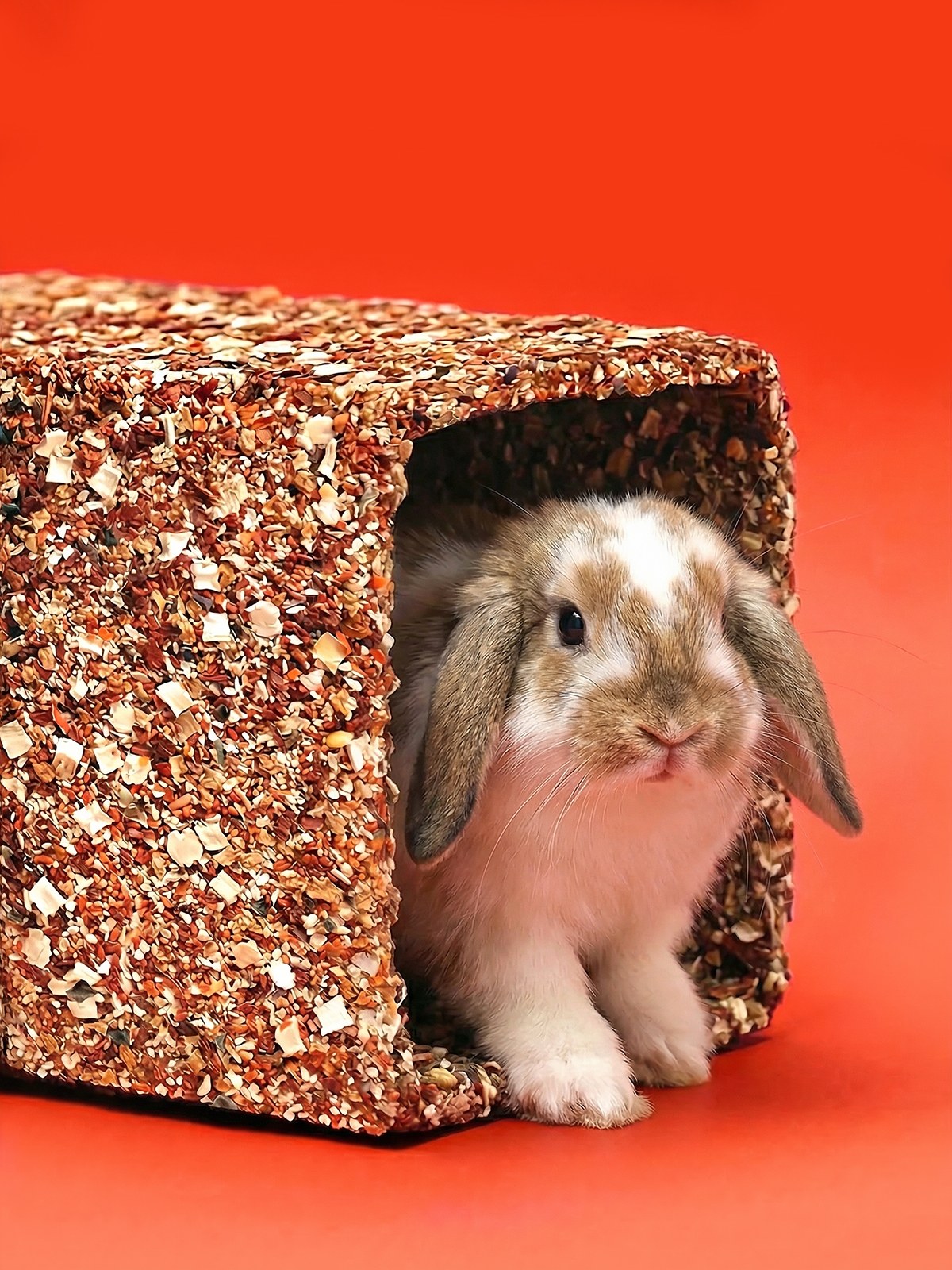 Little One Tasty maze tunnel big 410g