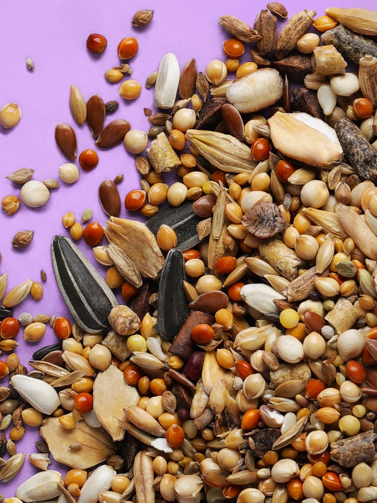 Little One food for Dwarf Hamsters 400g