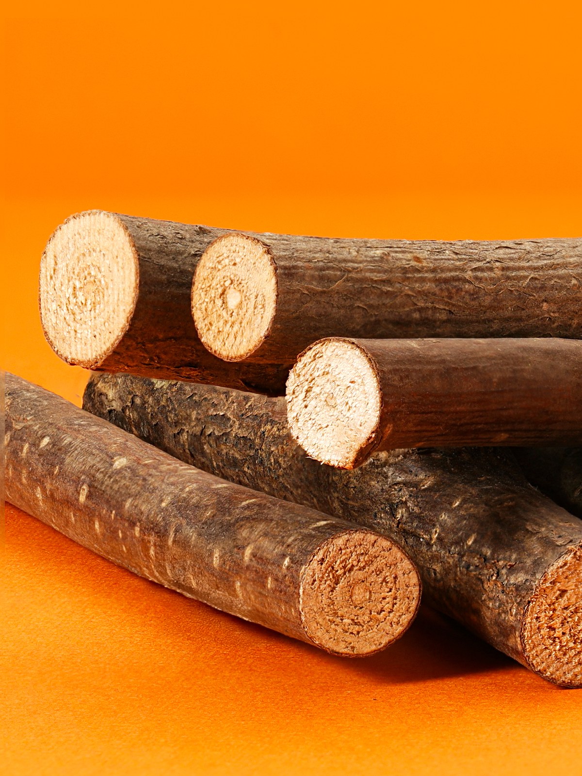 Little One Hazelnut branches 7pcs