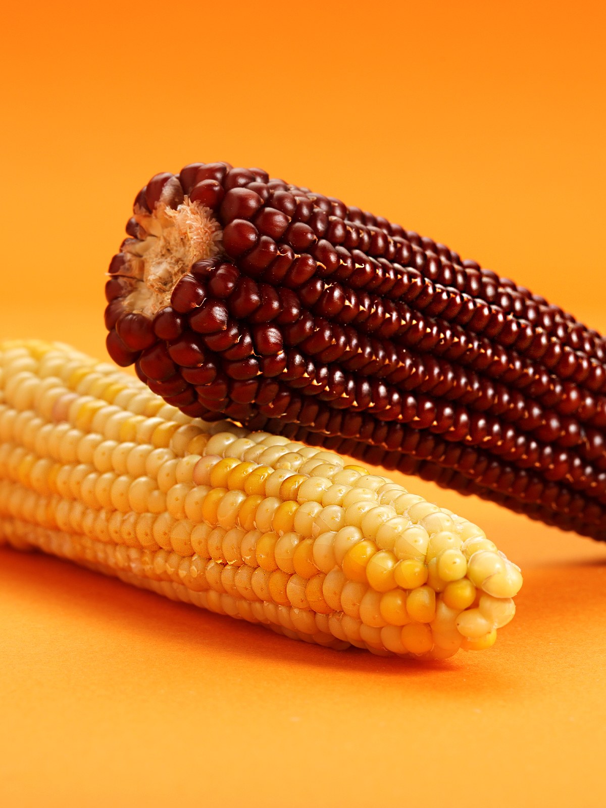 Little One Mini Corn Cobs 130g