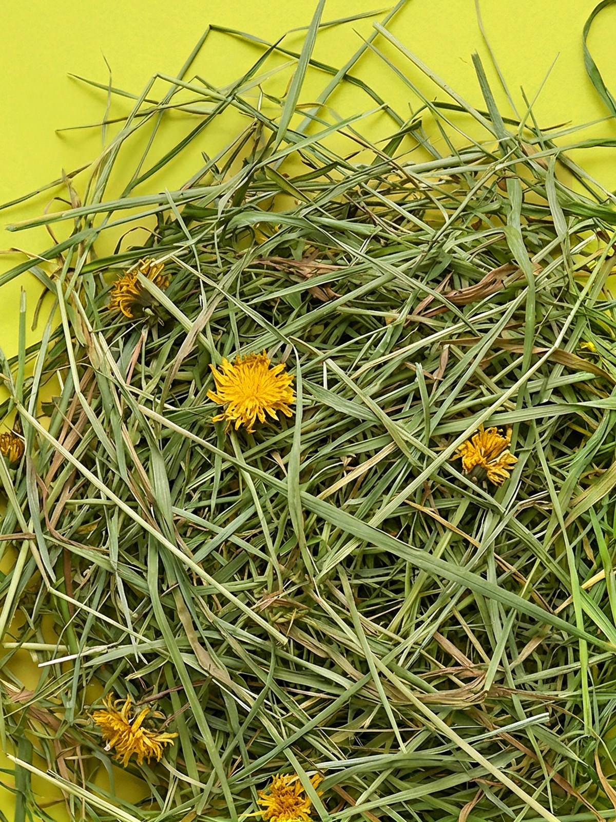 Little One Mountain hay with dandelion 400g