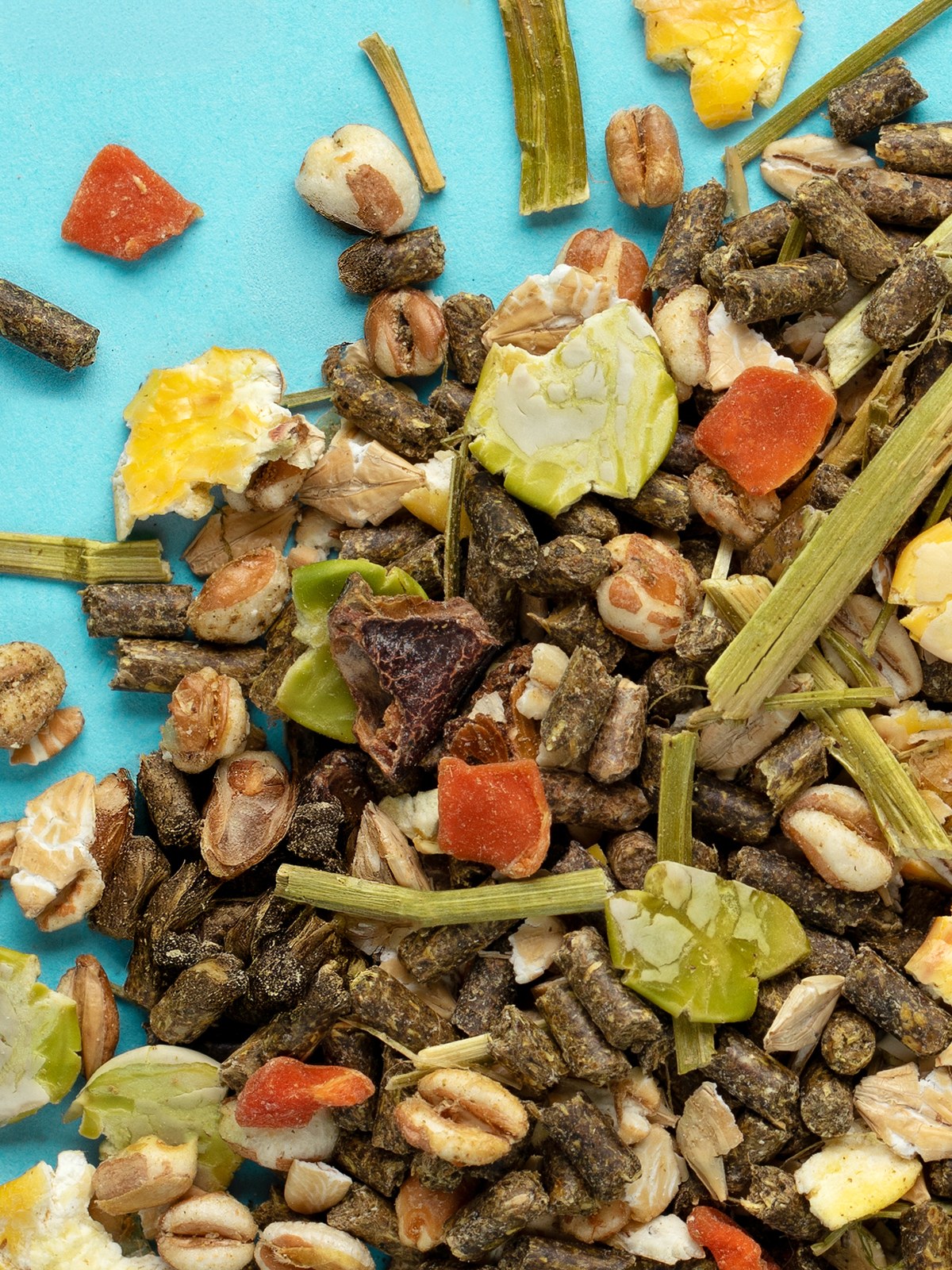 Little One food for Guinea pigs 900g