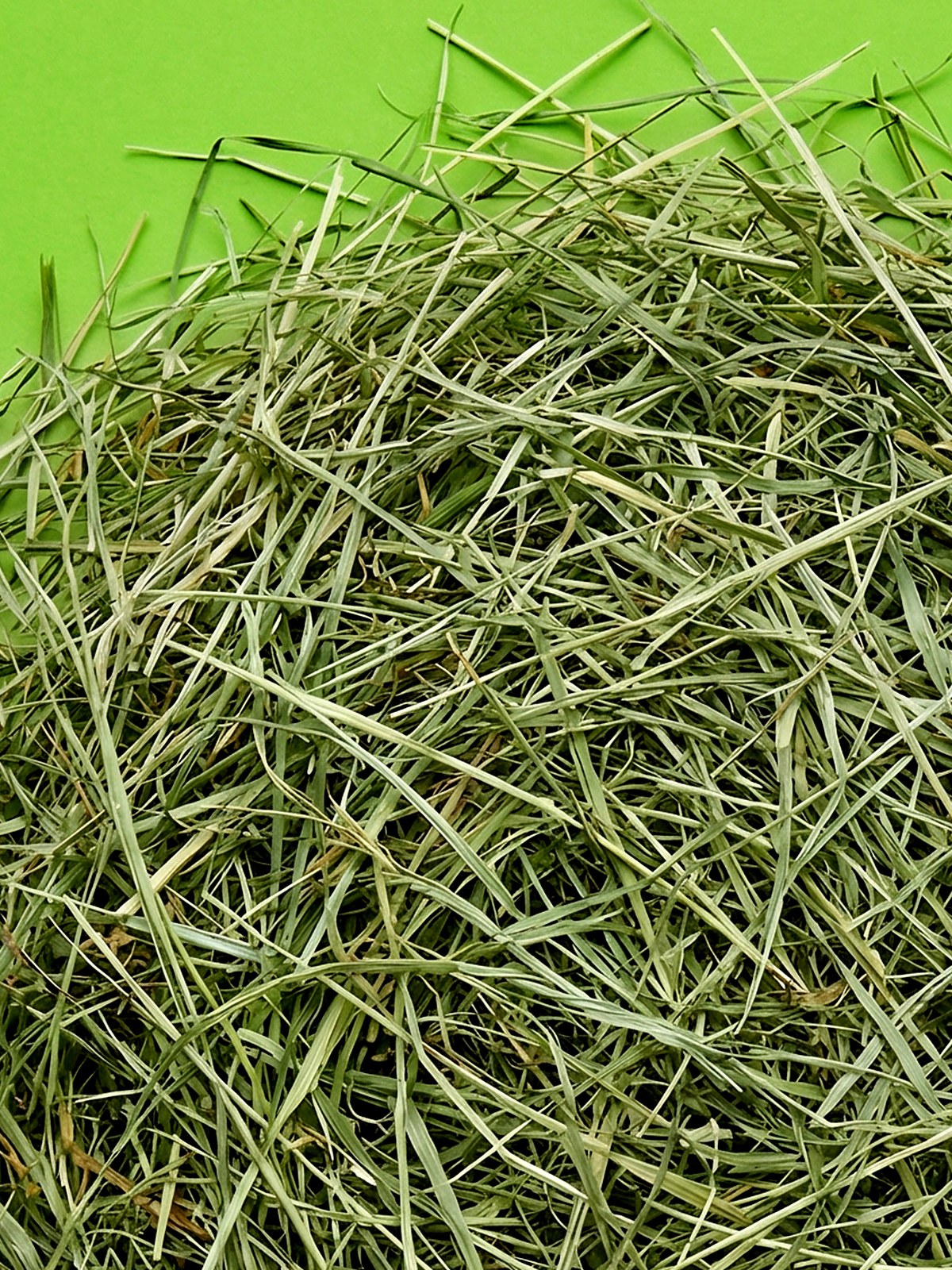 Little One Mountain hay 1kg