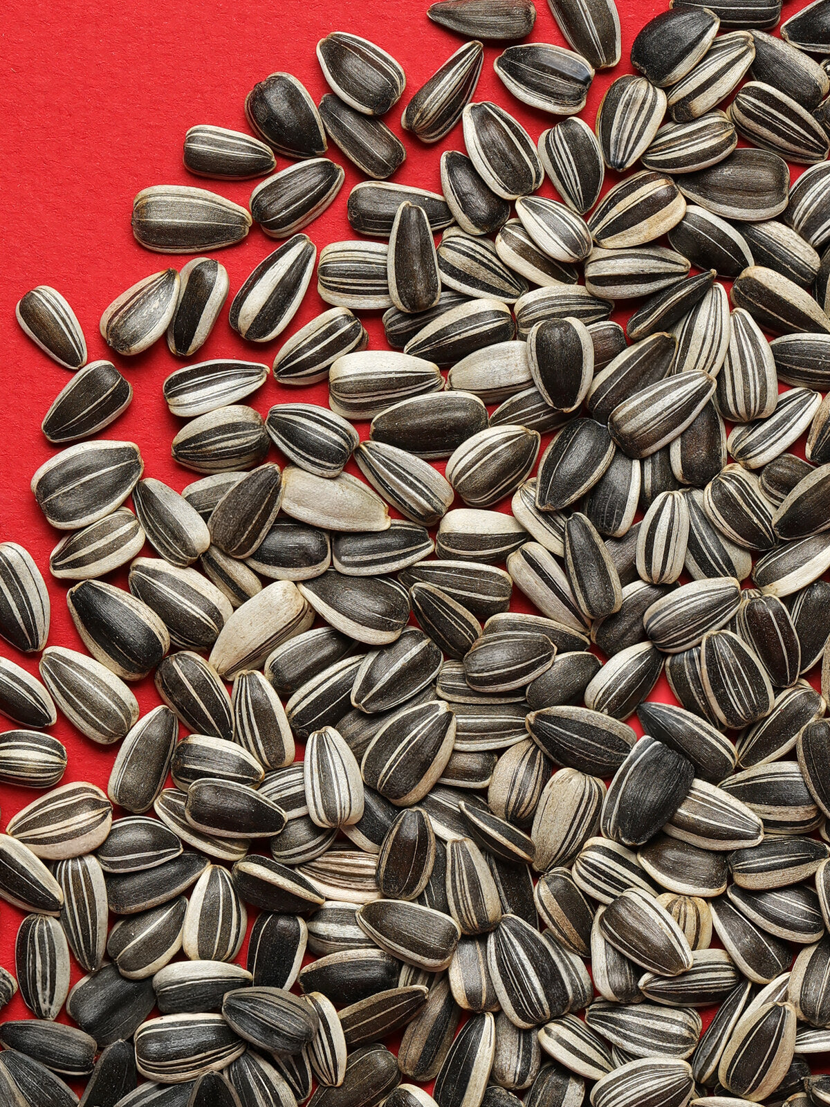 RIO Sunflower seeds 1kg