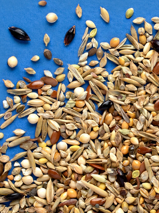 RIO Wild Seeds Mix Natural treat for all birds 240g