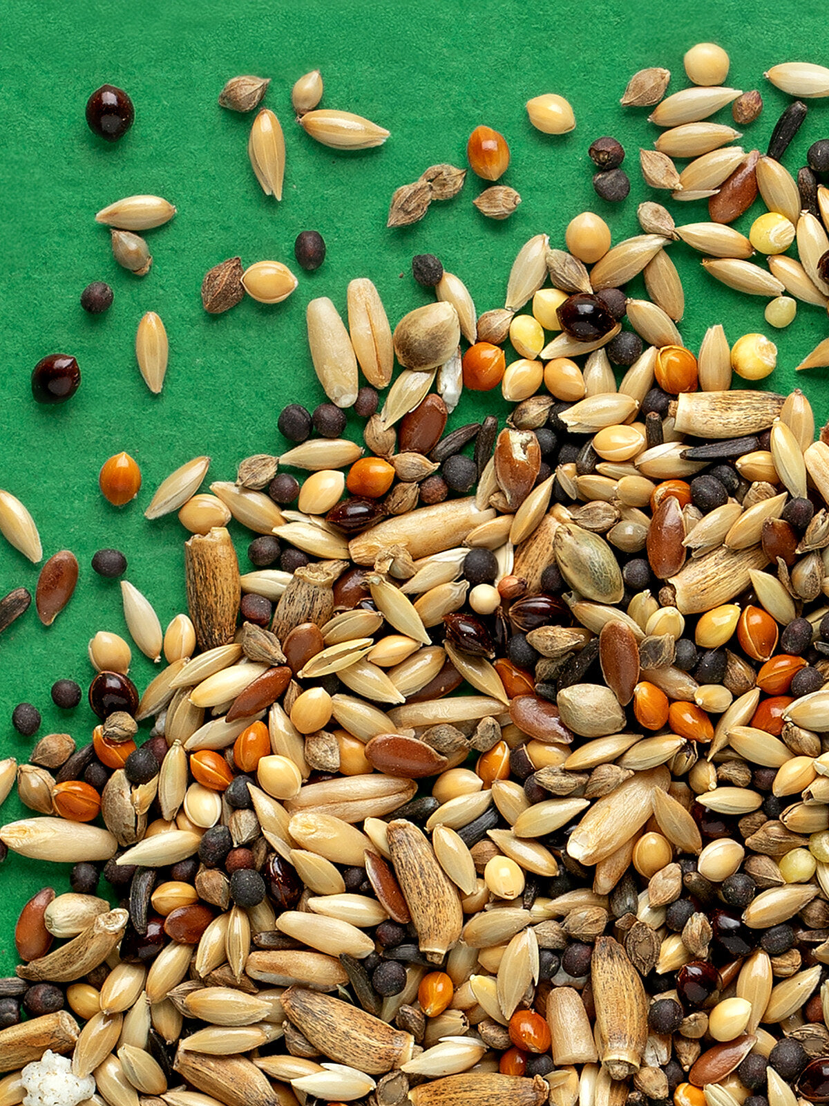 RIO Daily food for Wild Birds 500g