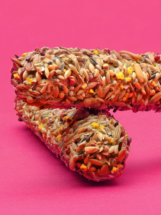 RIO Sticks for Canaries with honey and seeds 2x40g
