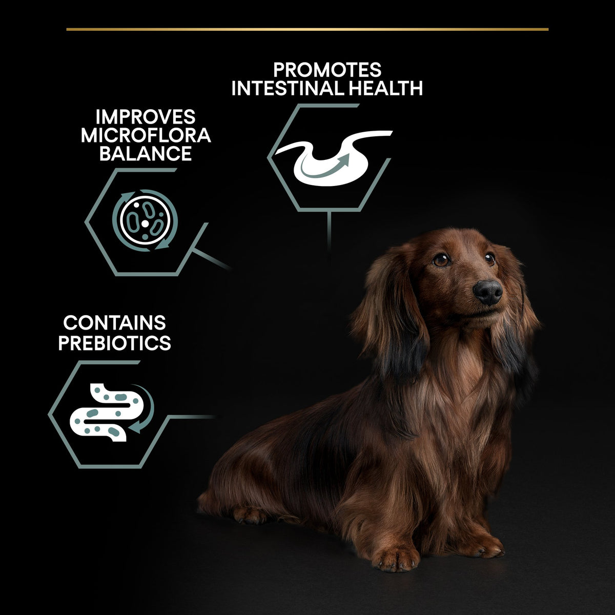 Purina Pro Plan Sensitive Digestion Small and Mini Adult, Dry Dog food with Lamb, 7 kg