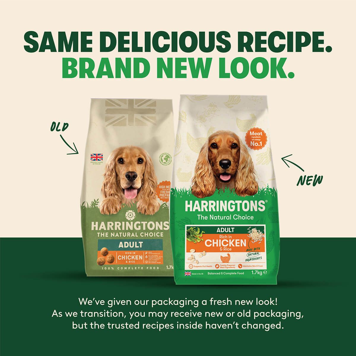 Harringtons Complete Chicken Adult Dry Dog Food 1.7KG
