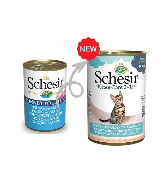 Schesir Kitten Care- Can In Jelly 3-12 Tuna with Aloe Wet Food 140g