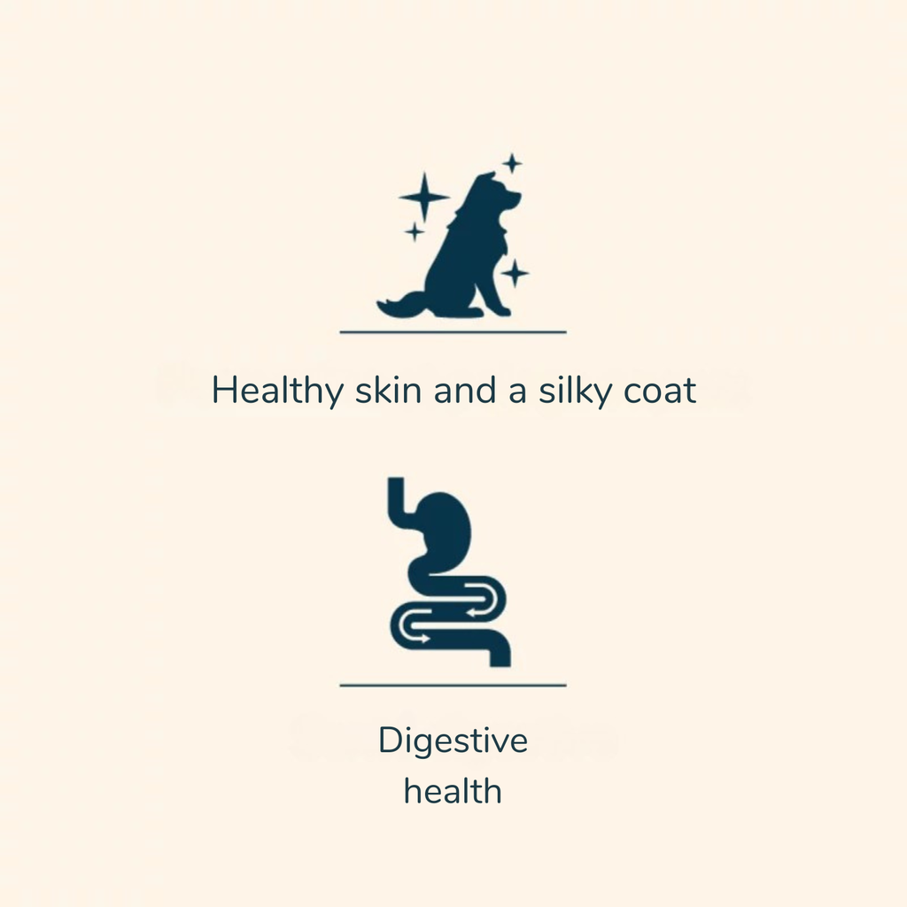Prestige Healthy Skin Salmon Grain-Free Adult Dry Dog Food
