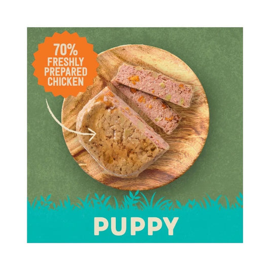 Harringtons Chicken & Potato Grain Free Wet Puppy Food 380g