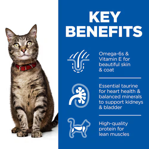 Hill’s Science Plan Adult Wet Cat Food Chicken Pouches