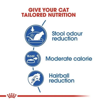 Royal Canin Home Life Indoor 27 Adult Dry Cat Food