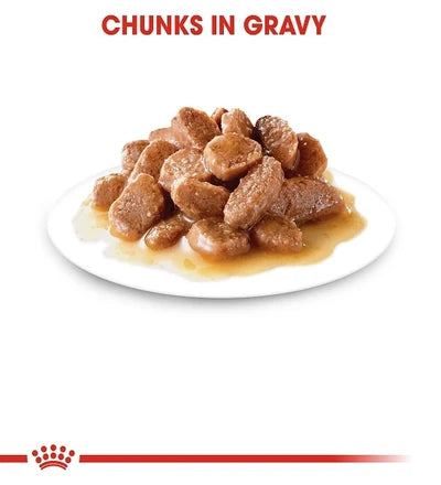 Royal Canin Digest Sensitive Chunks In Gravy Adult Wet Cat Food