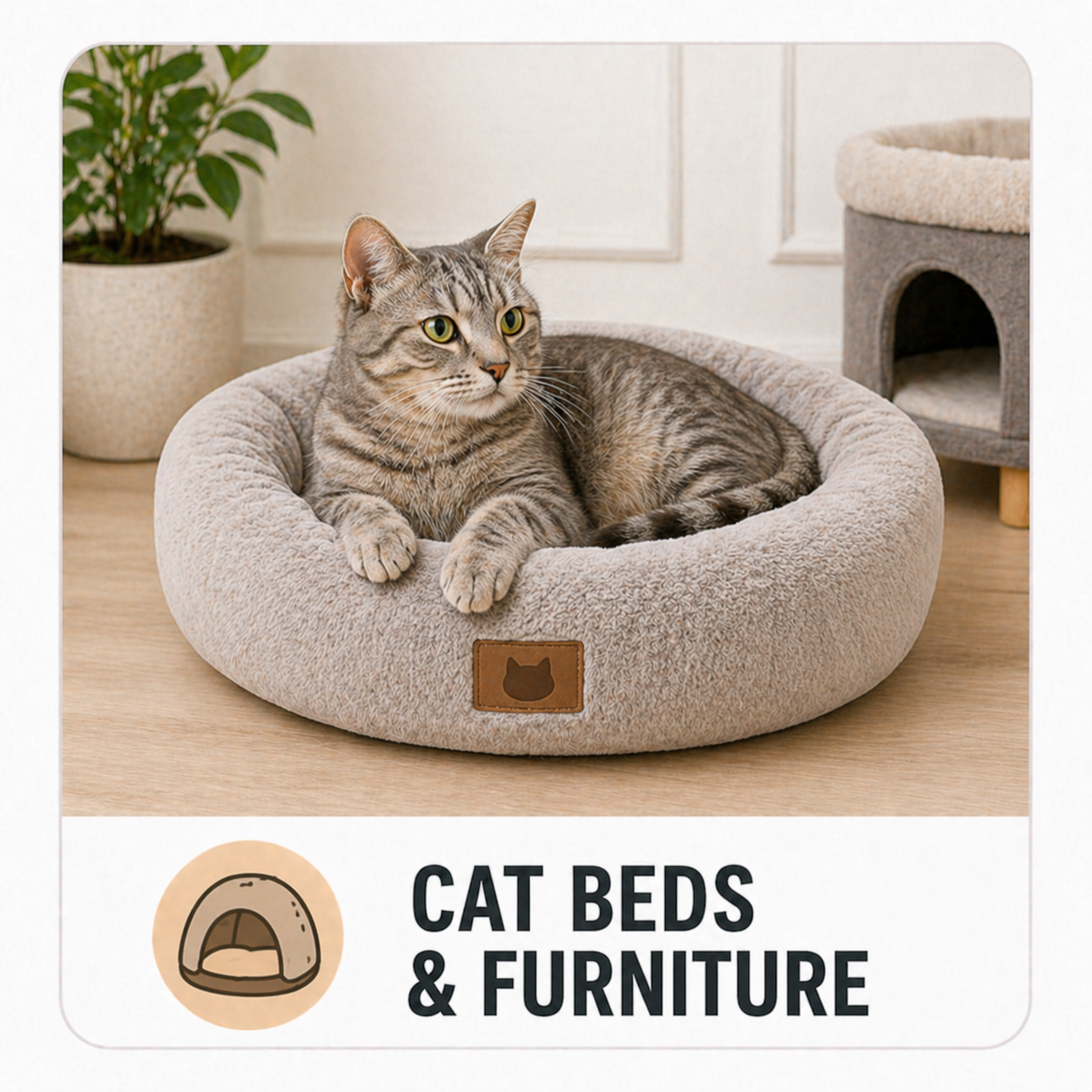Cat Beds & Furniture