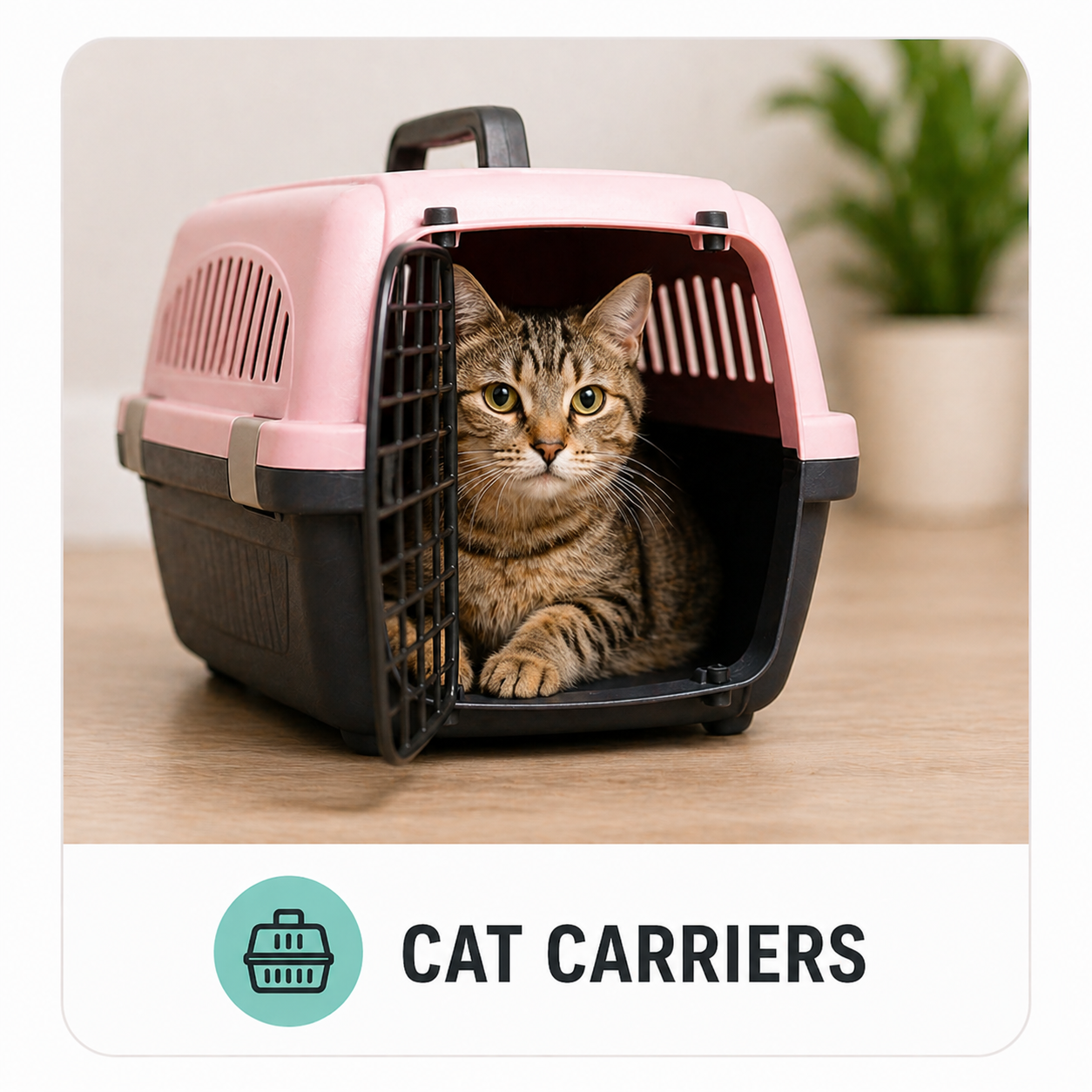 Cat Carriers