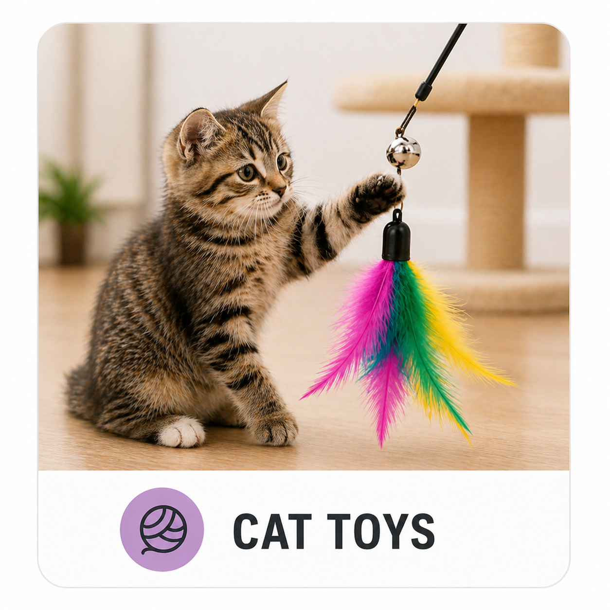 Cat Toys