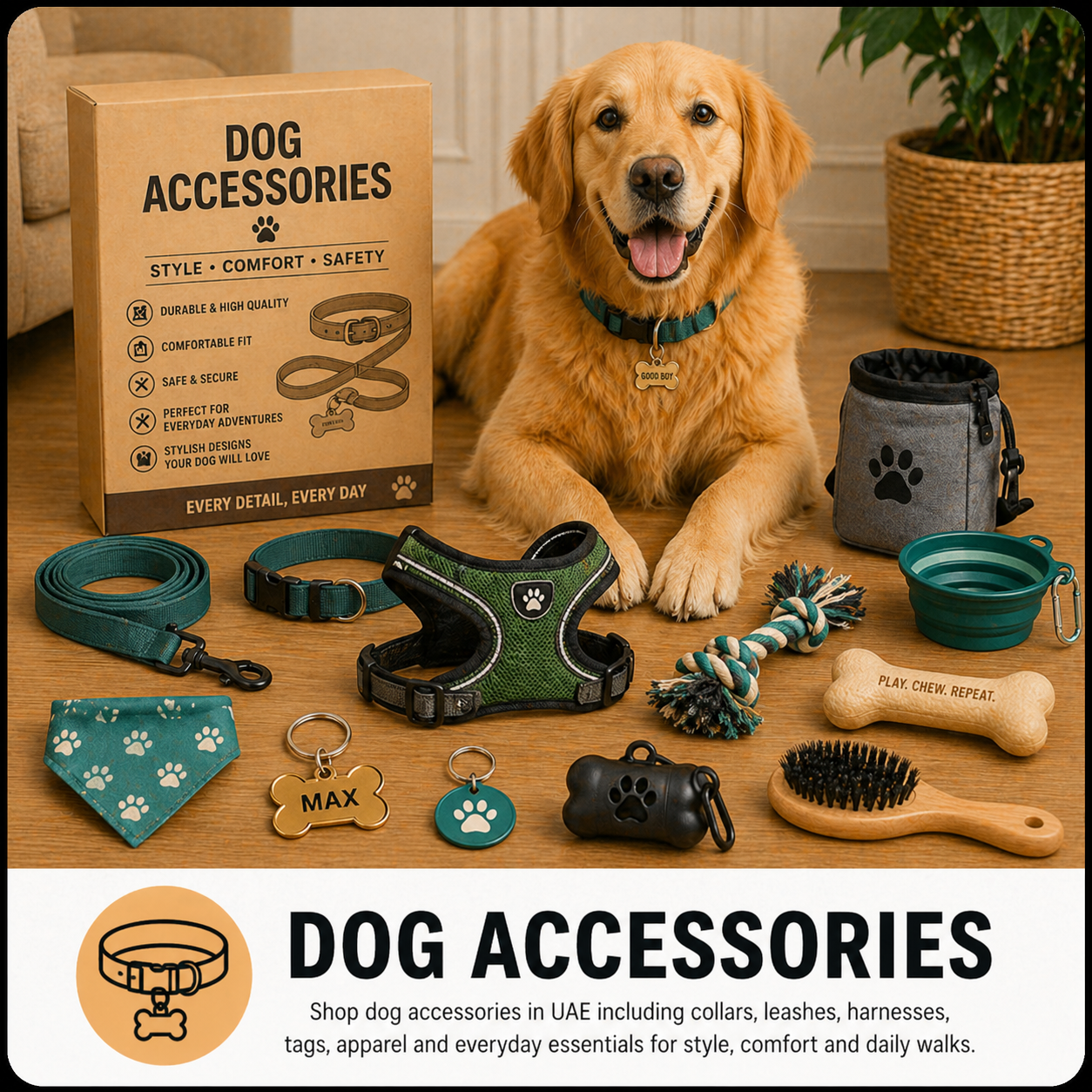 Dog Accessories