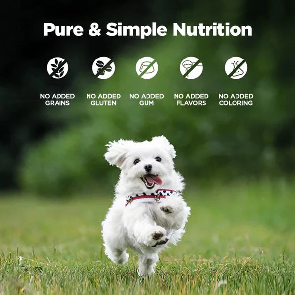 Zeal Grain Free Canned Dog Food 390g – (Lamb Recipe)
