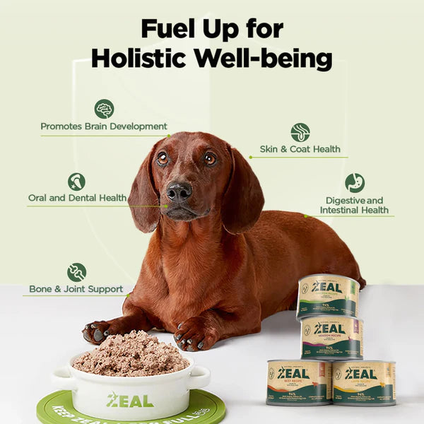 Zeal Grain Free Canned Dog Food 390g – (Lamb Recipe)