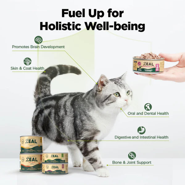 Zeal Grain Free Canned Cat Food 90g – (Chicken & Salmon)