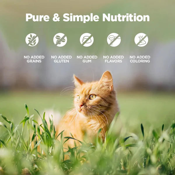 Zeal Grain Free Canned Cat Food 90g – (Lamb Recipe)