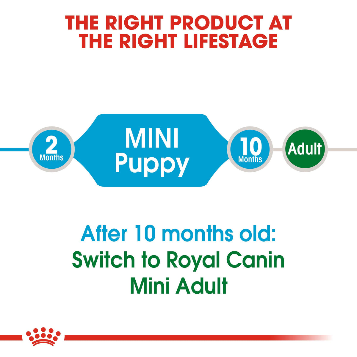 Royal Canin Mini Puppy Dry Dog Food - 1.1kg
