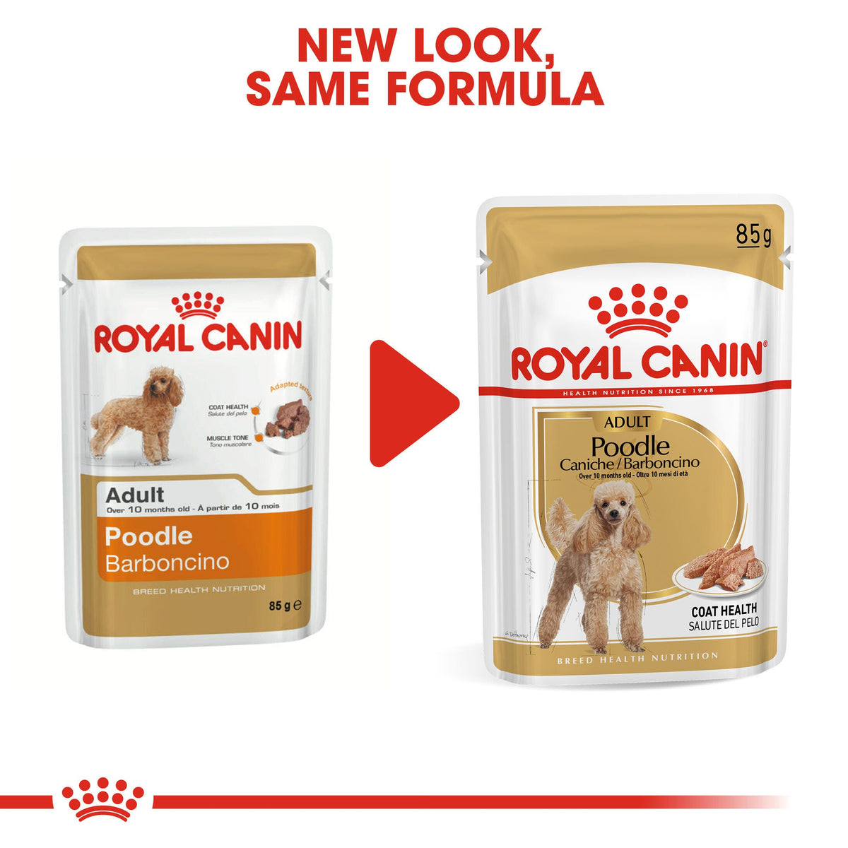 Royal Canin Poodle Wet Dog Food