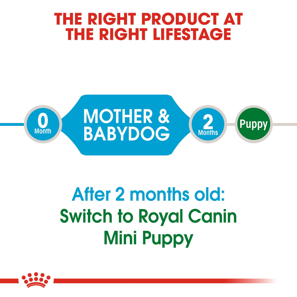 Royal Canin Mini Starter Dry Dog Food - 8.5kg