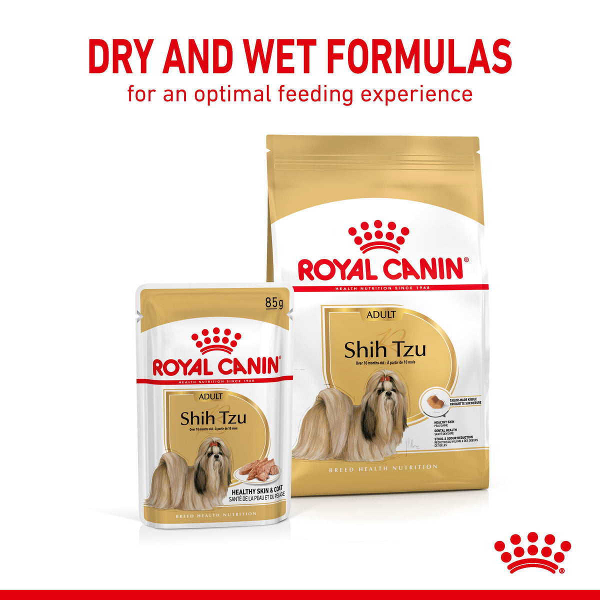Royal Canin Shih Tzu Adult Wet Dog Food