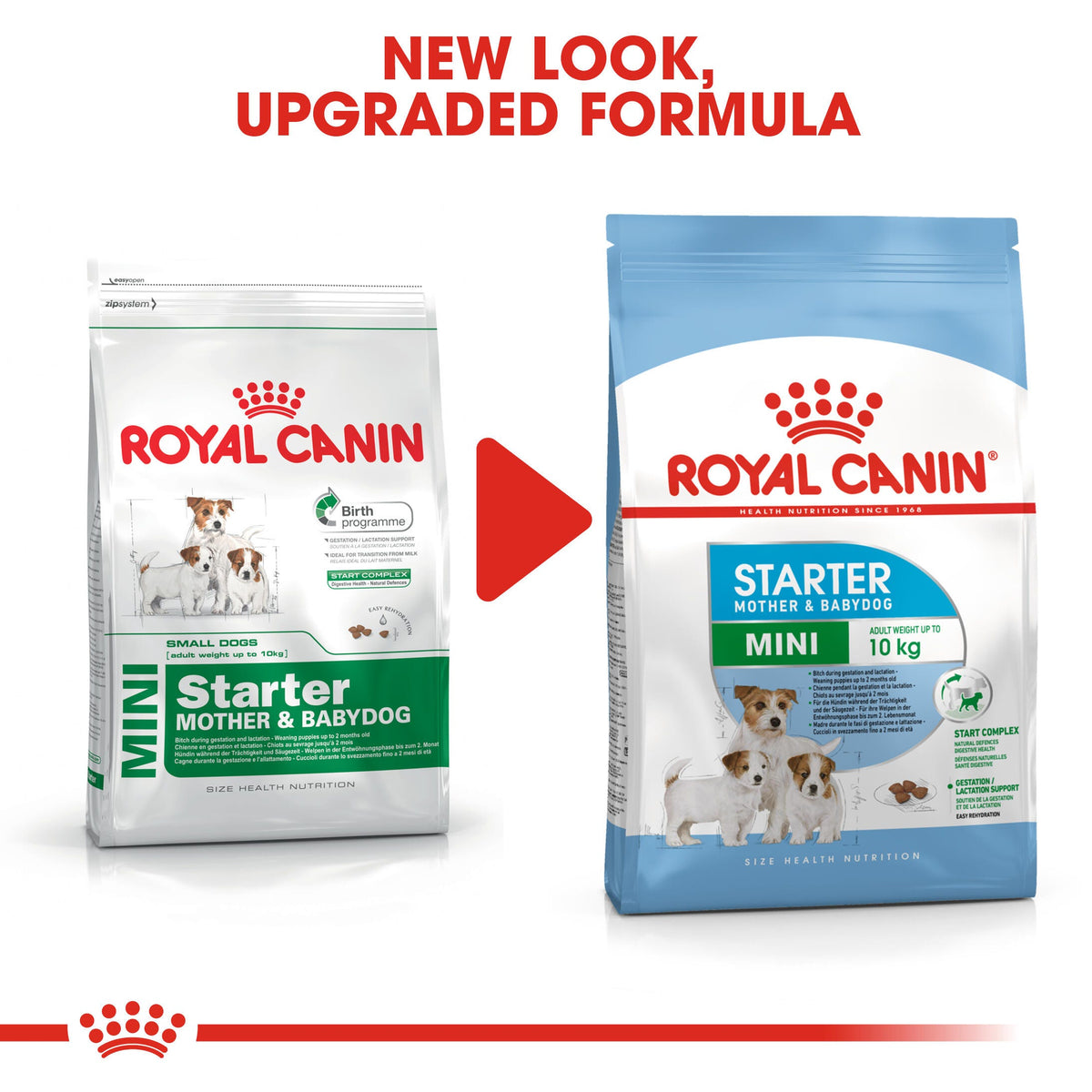 Royal Canin Mini Starter Dry Dog Food