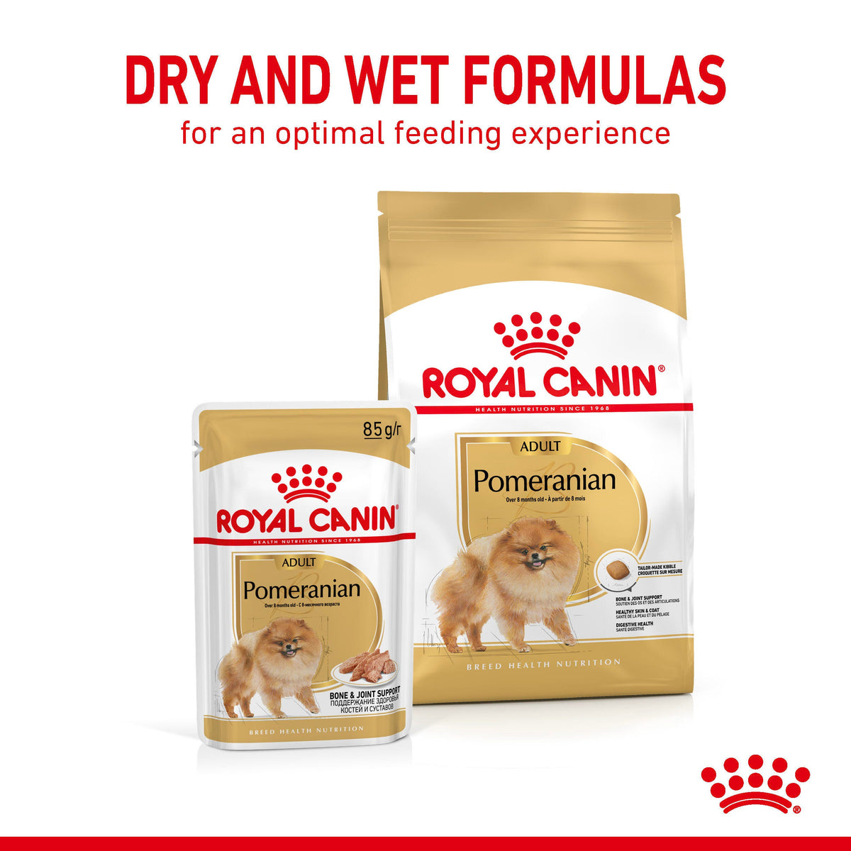 Royal Canin Pomeranian Adult Wet Dog Food