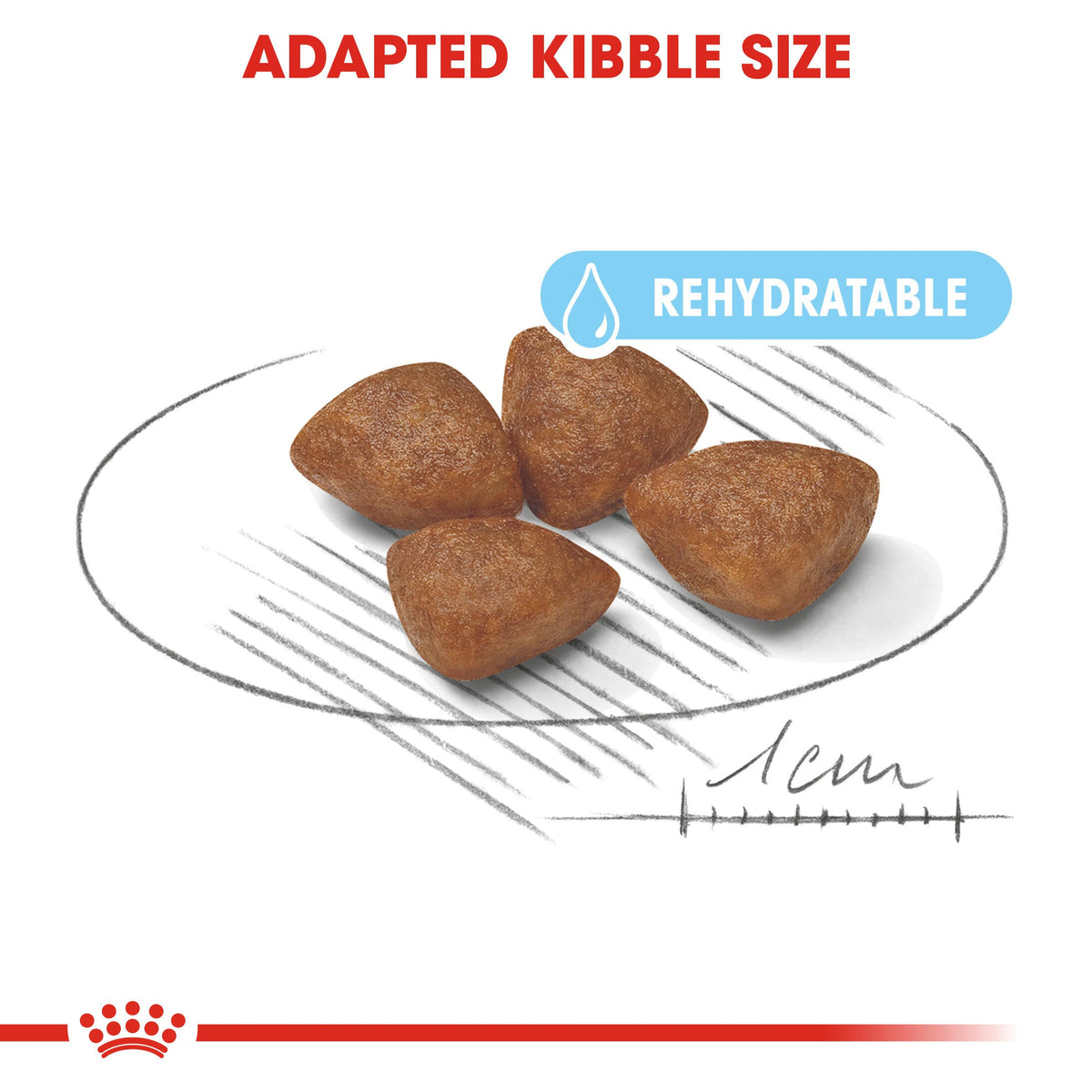 Royal Canin Mini Starter Dry Dog Food