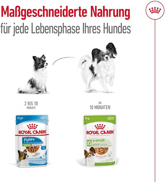Royal Canin XS Adult Wet Dog Food