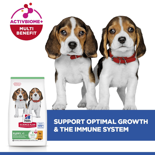 Hill’s Science Plan Medium Puppy Food With Chicken (2.5kg)