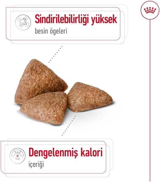 Royal Canin Small Mini Indoor Adult Dry Dog Food