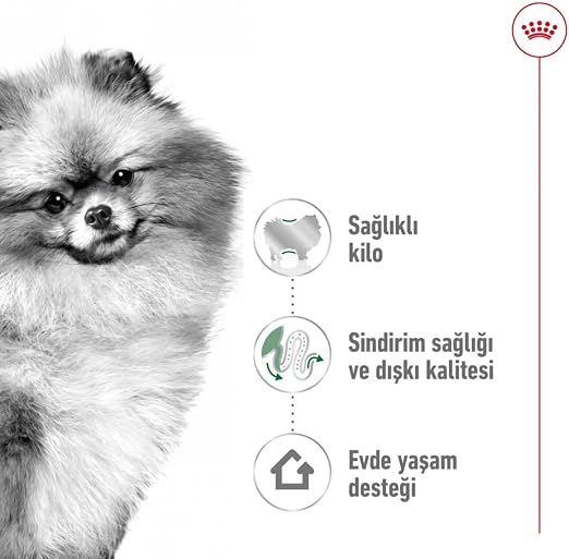 Royal Canin Small Mini Indoor Adult Dry Dog Food