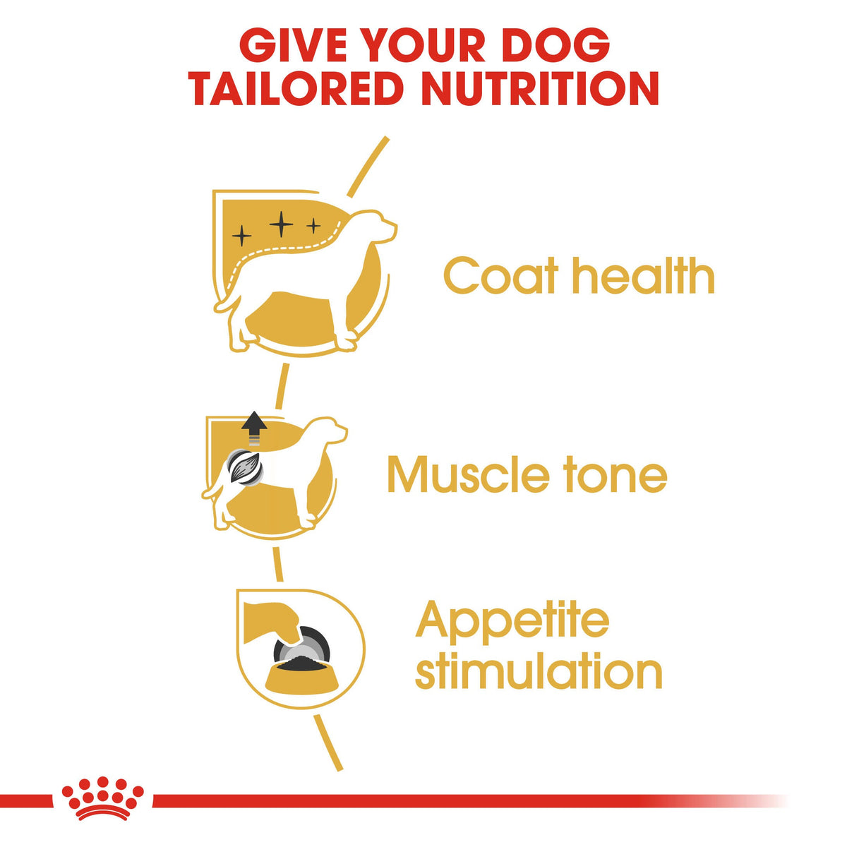 Royal Canin Poodle Wet Dog Food