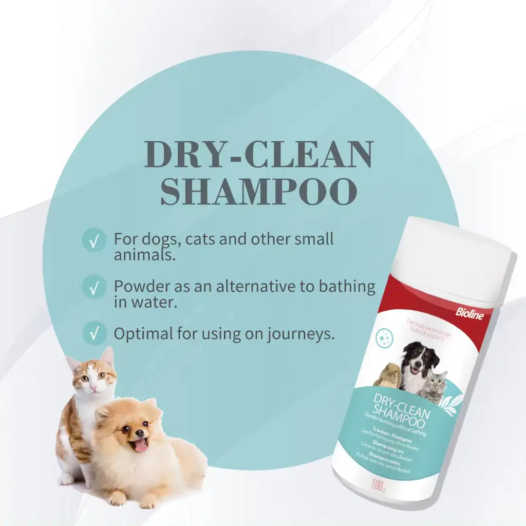 Boline Dry Clean Shampoo [Weight - 100g]