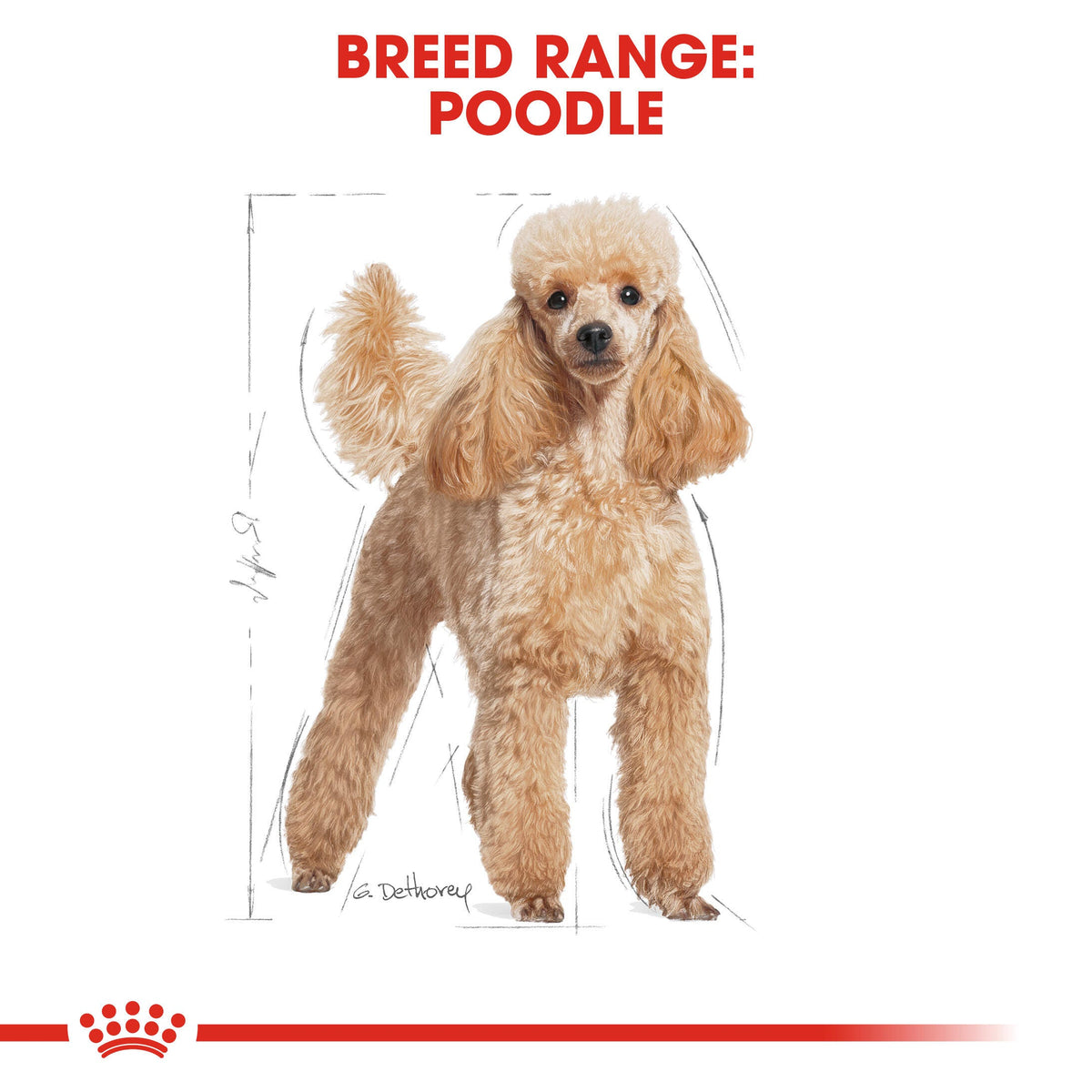 Royal Canin Poodle Wet Dog Food