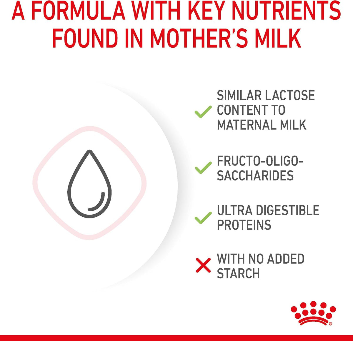 Royal Canin Babycat Milk Powder 300G