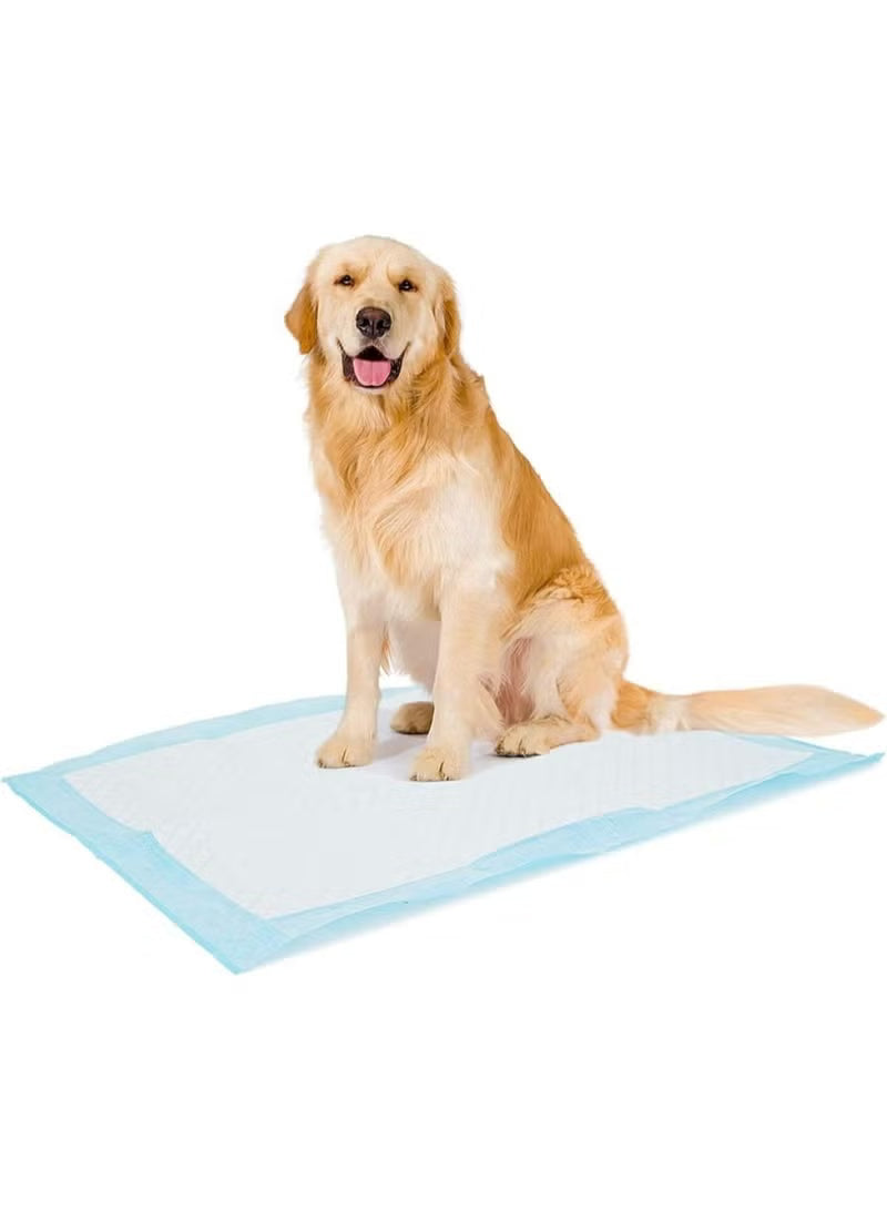 Duvo+ Pet Pad X Large (30pcs) 60 x 60cm[Dimension - 60 x 60cm]