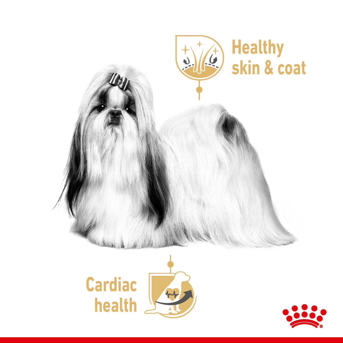 Royal Canin Shih Tzu Adult Wet Dog Food